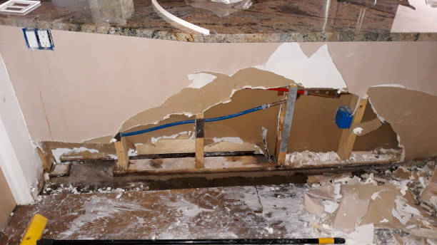  Wauseon, OH Water damage restoration Pros