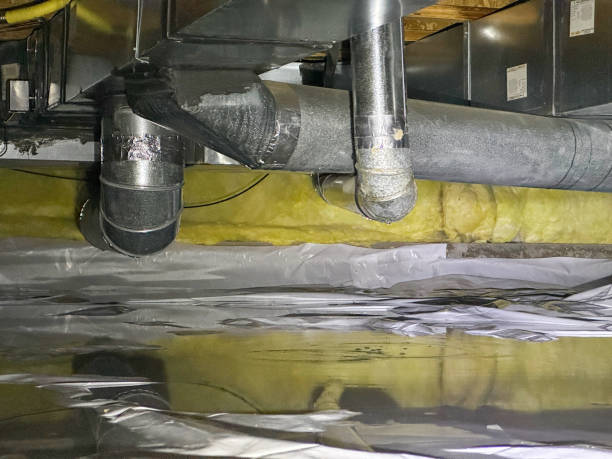 Best Professional water damage repair  in Wauseon, OH