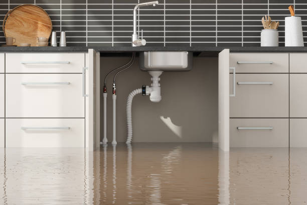 Best Commercial water damage restoration  in Wauseon, OH